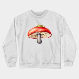 Mushroom Frog Watercolour Crewneck Sweatshirt